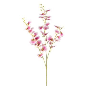 Ramo di fiori artificiali Oncidium Orchidea SLINBER, rosa-bianco, 90 cm Ramo di fiori artificiali Oncidium Orchidea SLINBER, rosa-bianco, 90 cm