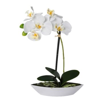Orchidea artificiale Phalaenopsis ORWAN, vaso decorativo, radici, bianco, 30 cm
