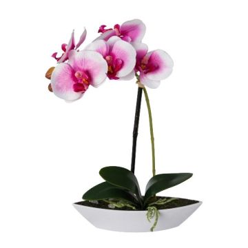 Orchidea artificiale Phalaenopsis ORWAN, vaso decorativo, radici, bianco-lilla, 30 cm