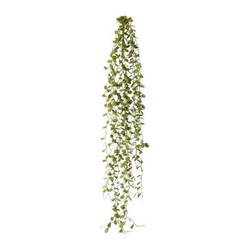 Decorazione artificiale Mühlenbeckia ZEHANL, bastoncino, verde, 70 cm