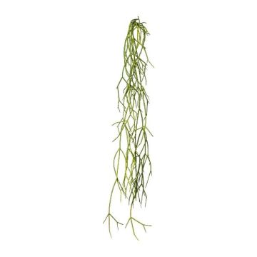 Pianta succulenta artificiale Rhipsalis WUNKE, bastoncino, pendente, verde, 60 cm Pianta succulenta artificiale Rhipsalis WUNKE, bastoncino, pendente, verde, 60 cm