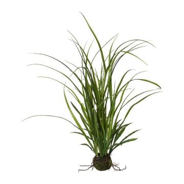 Erba artificiale canna palustre JOLPA in zolla, radici, verde, 55 cm