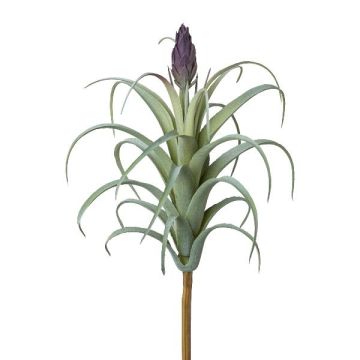 Succulenta artificiale Tillandsia stricta KROST, bastoncino, fiore, verde-lilla, 23 cm
