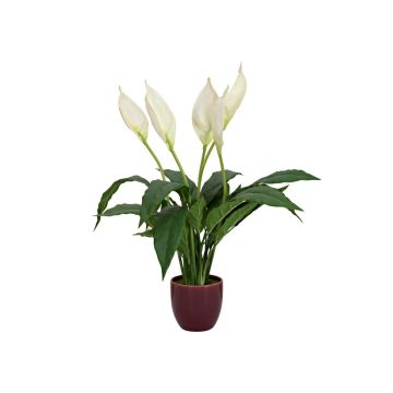 Fiore artificiale AYASHA con fiori, vaso in ceramica, bianco, 60 cm