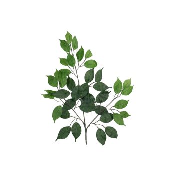 Ramo artificiale di ficus benjamini SAKURA, 12 pezzi, verde, 55 cm Ramo artificiale di ficus benjamini SAKURA, 12 pezzi, verde, 55 cm
