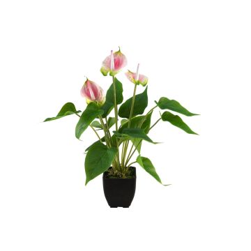 Anthurium artificiale ISABELITA in vaso, rosa-bianco-verde, 40 cm