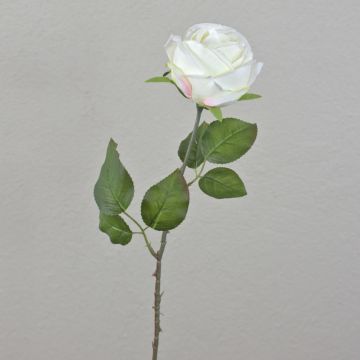 Rosa artificiale FINAKAS, bianco crema, 65 cm Rosa artificiale FINAKAS, bianco crema, 65 cm