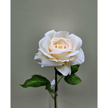 Rosa artificiale WINAKAS, crema-albicocca, 40 cm Rosa artificiale WINAKAS, crema-albicocca, 40 cm