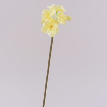 Narciso artificiale SEPUNY, bianco-giallo, 40 cm
