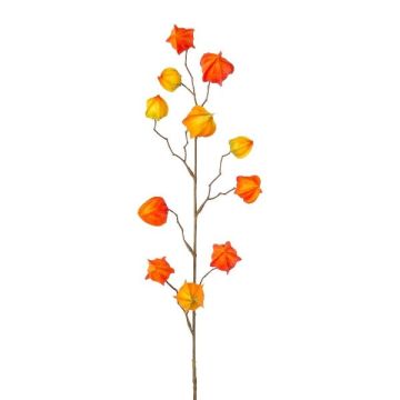 Ramo decorativo Physalis LISOP con frutti, arancione-giallo, 80 cm