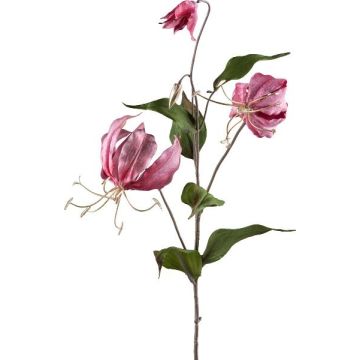 Ramo decorativo Gloriosa LISUPY, rosa scuro-oro, 80 cm