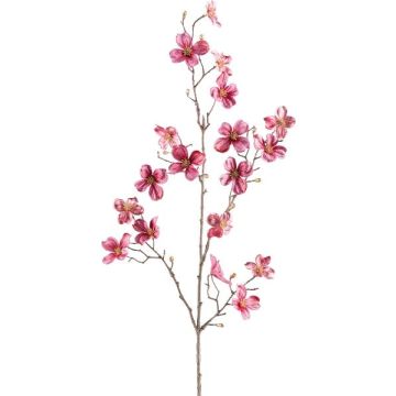 Ramo decorativo corniolo HISOP, rosa scuro, 85 cm Ramo decorativo corniolo HISOP, rosa scuro, 85 cm