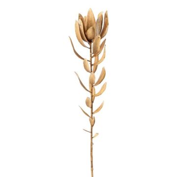 Fiore decorativo cuscino per spilli Protea LAWARE, marrone, 75 cm