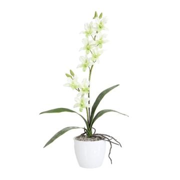 Orchidea artificiale Dendrobium Sonia NELTI, vaso in ceramica, radici, verde chiaro, 60cm Orchidea artificiale Dendrobium Sonia NELTI, vaso in ceramica, radici, verde chiaro, 60cm