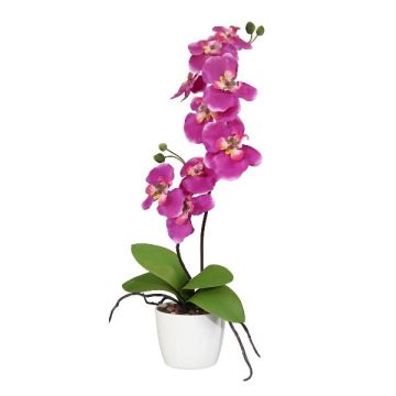 Fiore decorativo orchidea Phalaenopsis MORLEK, vaso in ceramica, radici, rosa, 60 cm