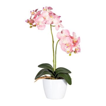 Fiore decorativo orchidea Phalaenopsis FRUXO, vaso in ceramica, radici, rosa, 50cm