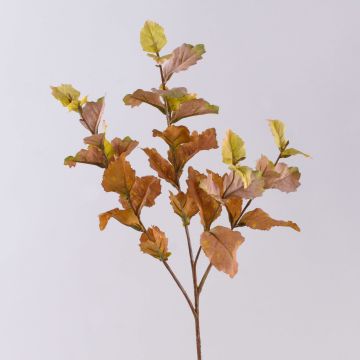 Ramo artificiale di faggio DURSIK, verde-viola, 60cm Ramo artificiale di faggio DURSIK, verde-viola, 60cm