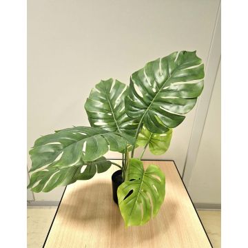 Pianta artificiale Philodendron monstera deliciosa CUNKYN in vaso decorativo, 60 cm