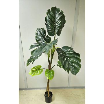 Pianta artificiale Philodendron monstera deliciosa CUNKYN in vaso decorativo, 170 cm Pianta artificiale Philodendron monstera deliciosa CUNKYN in vaso decorativo, 170 cm