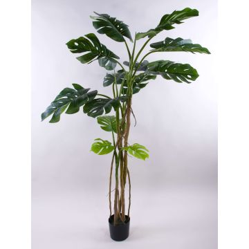 Pianta artificiale Philodendron monstera deliciosa CUNKYN in vaso decorativo, 180cm Pianta artificiale Philodendron monstera deliciosa CUNKYN in vaso decorativo, 180cm