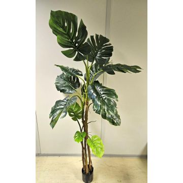 Pianta artificiale Philodendron monstera deliciosa CUNKYN in vaso decorativo, 180 cm Pianta artificiale Philodendron monstera deliciosa CUNKYN in vaso decorativo, 180 cm