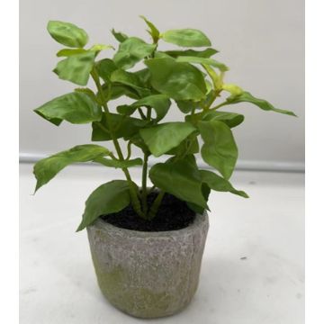 Pianta artificiale Basilico POLINDA in vaso decorativo, verde, 26 cm