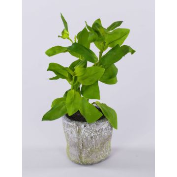 Pianta artificiale Basilico POLINDA in vaso decorativo, verde, 26 cm Pianta artificiale Basilico POLINDA in vaso decorativo, verde, 26 cm