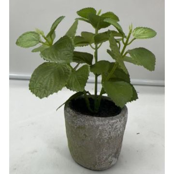 Pianta artificiale menta POLINDA in vaso decorativo, verde, 26 cm
