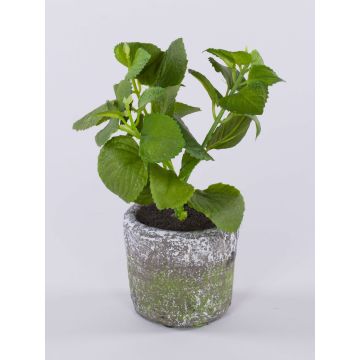 Pianta artificiale menta POLINDA in vaso decorativo, verde, 26 cm Pianta artificiale menta POLINDA in vaso decorativo, verde, 26 cm
