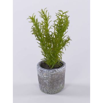 Pianta artificiale rosmarino POLINDA in vaso decorativo, verde, 26 cm Pianta artificiale rosmarino POLINDA in vaso decorativo, verde, 26 cm