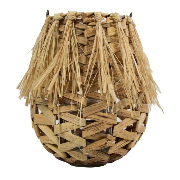 Lanterna a cesto NATASCIA, giacinto d'acqua, manico, inserto in vetro, marrone, 27 cm, Ø 17 cm Lanterna a cesto NATASCIA, giacinto d'acqua, manico, inserto in vetro, marrone, 27 cm, Ø 17 cm