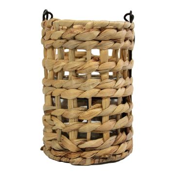 Lanterna in fibra naturale RICHARDA, giacinto d'acqua, manico, inserto in vetro, marrone, 17 cm, Ø 12 cm Lanterna in fibra naturale RICHARDA, giacinto d'acqua, manico, inserto in vetro, marrone, 17 cm, Ø 12 cm