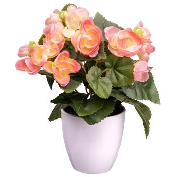 Fiore artificiale begonia SYLINA, vaso decorativo bianco, rosa, 25 cm