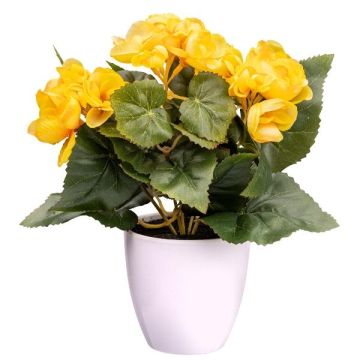 Fiore artificiale begonia SYLINA, vaso decorativo bianco, giallo, 25 cm