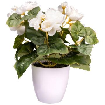 Fiore artificiale begonia SYLINA, vaso decorativo bianco, crema, 25 cm