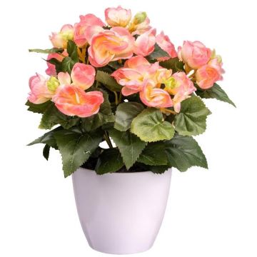 Fiore artificiale begonia SYLINA, vaso decorativo bianco, rosa, 30 cm