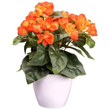 Fiore artificiale Begonia SYLINA, vaso decorativo bianco, arancione, 30 cm