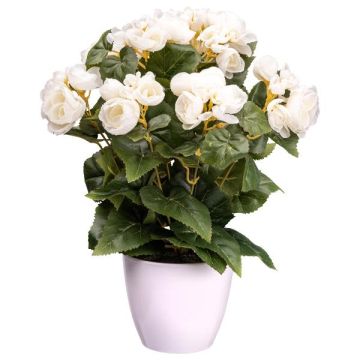 Fiore artificiale Begonia SYLINA, vaso decorativo bianco, crema, 35 cm