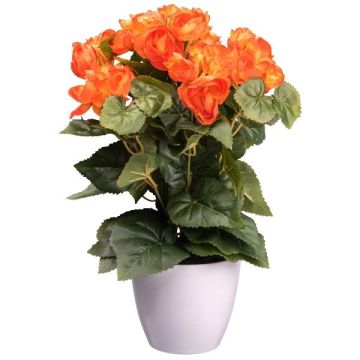 Fiore artificiale Begonia SYLINA, vaso decorativo bianco, arancione, 35 cm