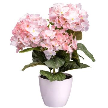Fiore decorativo Ortensia SLORFIN in vaso decorativo bianco, rosa, 30 cm