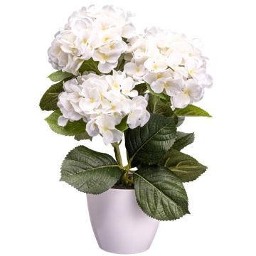 Fiore decorativo Ortensia SLORFIN in vaso decorativo bianco, bianco, 30 cm