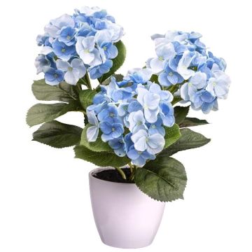Fiore decorativo ortensia SLORFIN in vaso decorativo bianco, blu, 30 cm