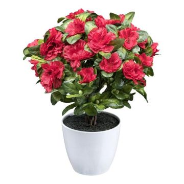 Fiore artificiale azalea WHENFA in vaso decorativo bianco, rosso, 30 cm