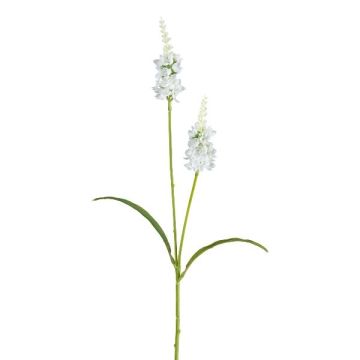 Ramo artificiale di salvia LOHFER, bianco, 65 cm