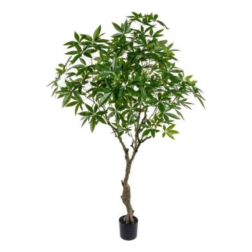Albero artificiale Pachira MUMBY, tronco artificiale, 220 cm