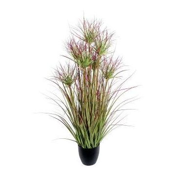 Erba decorativa Pianta di papiro DARSA in vaso decorativo, verde-rosso, 95 cm