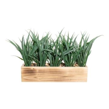 Erba decorativa canna WENMAL in scatola di legno, verde, 30x9x23 cm