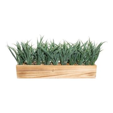 Erba decorativa canna WENMAL in scatola di legno, verde, 52x10x23 cm Erba decorativa canna WENMAL in scatola di legno, verde, 52x10x23 cm