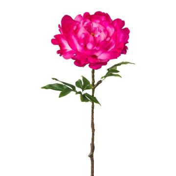 Fiore artificiale peonia GLOUT, rosa scuro, 65 cm