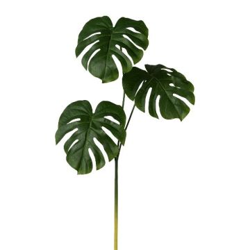 Ramo decorativo Philodendron monstera deliciosa TROLFE, 75 cm